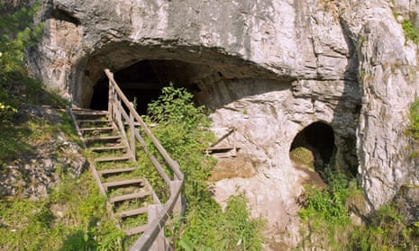Offspring of Neanderthal and Denisovan identified for first time | Science | The Guardian