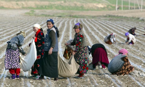 Women pick cotton near the town of Andijan in Uzbekistan