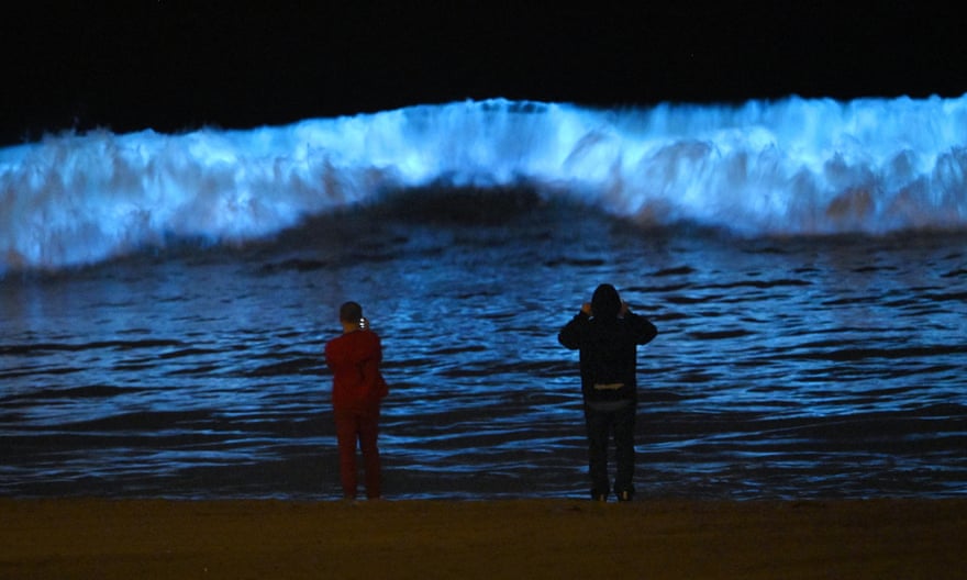 Bioluminescent waves dazzle surfers in California 'Never seen anything