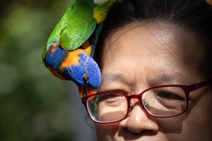 Hong Kong, China. A rainbow lorikeet tries to grab the glasses of a visitor in the Hong Kong Park aviary
