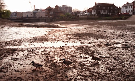 Ducks walk along the dry river bed of the river Thames at Isleworth, west London, in 1999. Two years of drought and unseasonably dry weather led to unusually low water levels. 