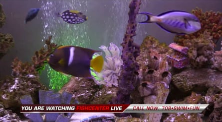 FishCenter Live … the talkshow set in an aquarium.