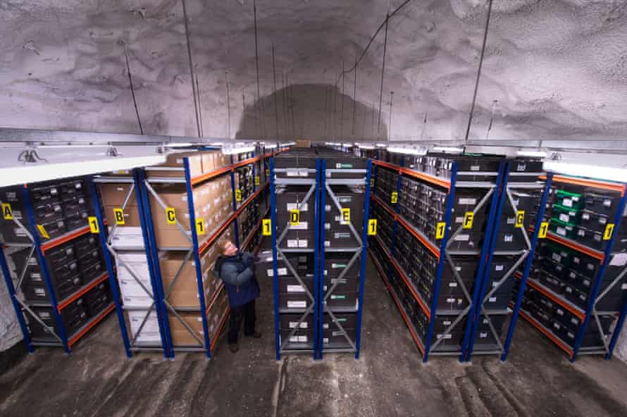 Newly Waterproofed Arctic Seed Vault Hits 1m Samples Conservation The Guardian Newly Waterproofed Arctic Seed Vault Hits 1m Samples Conservation The Guardian