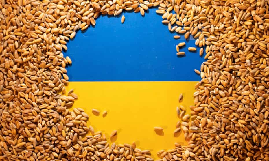 Ukrainian flag is covered with grains.