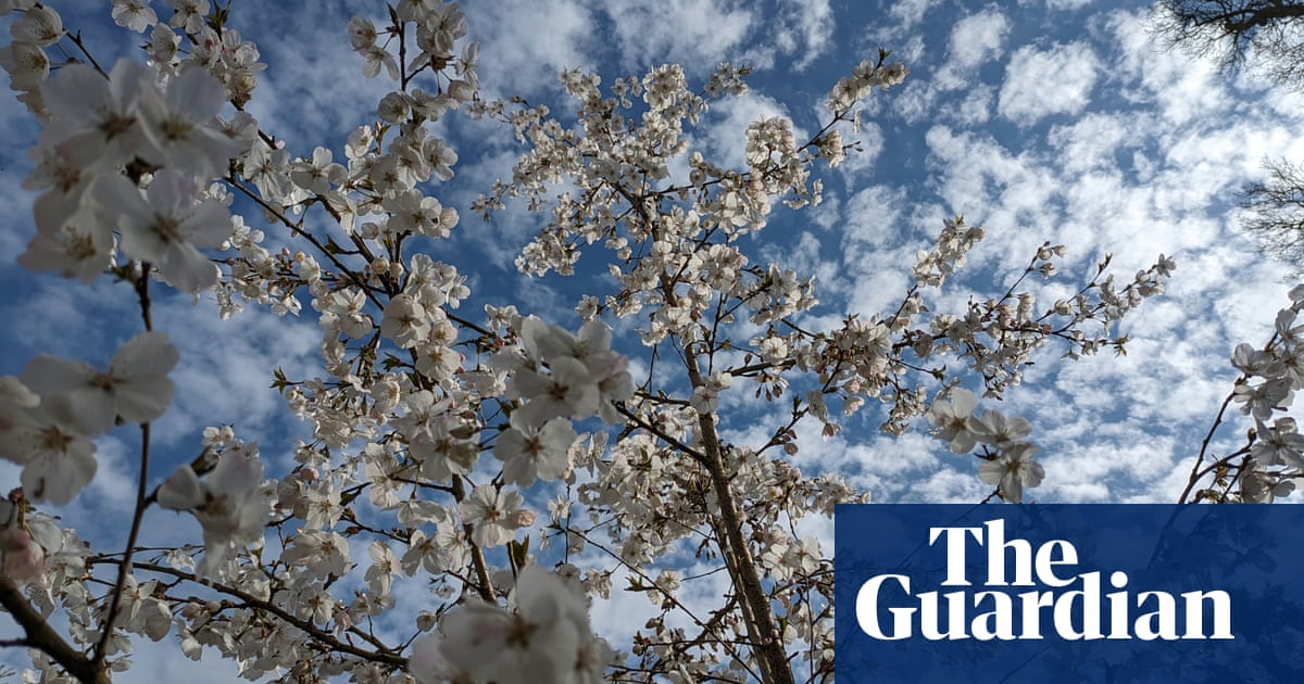 Simon Armitage releases spring-themed poetry collection celebrating blossom | Simon Armitage