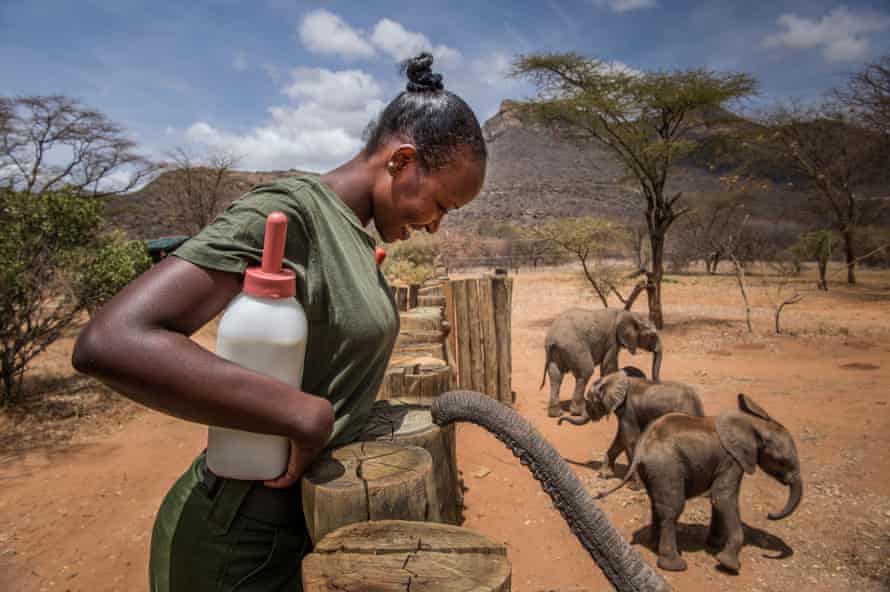 Feeding time at Reteti Elephant Sanctuary
