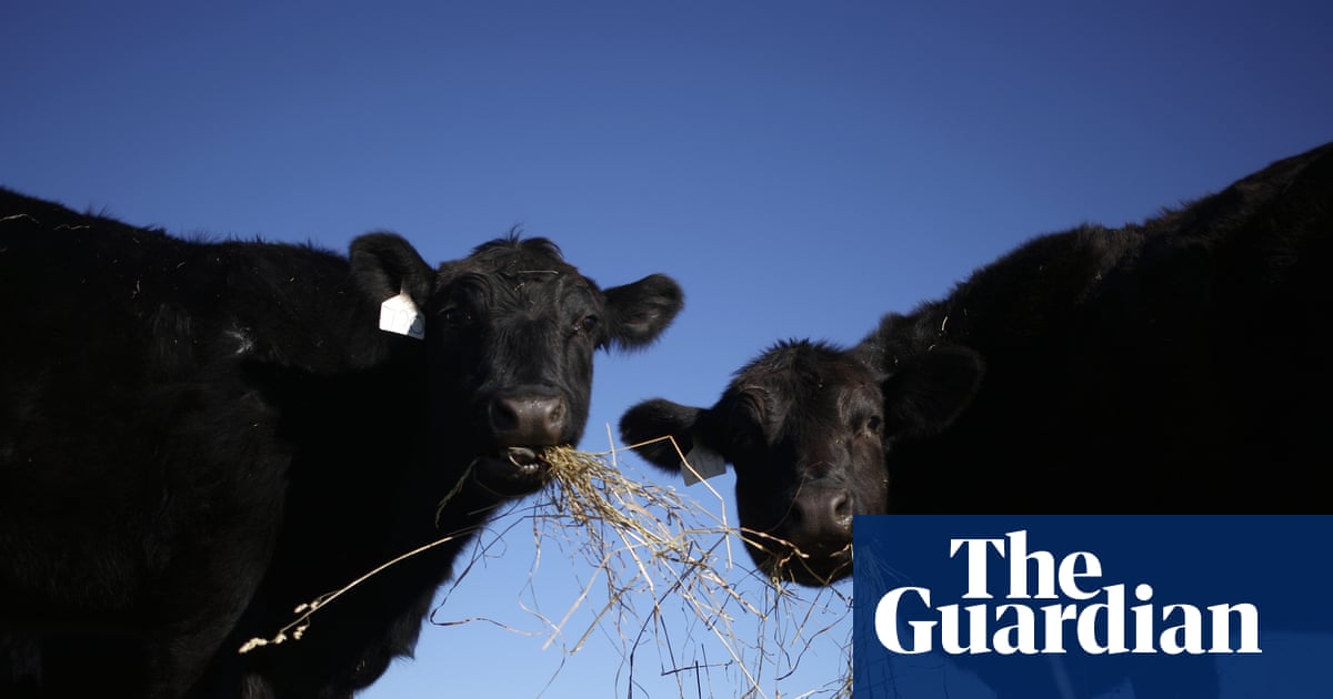 Trump pledges to allow cattle ranchers to process own food amid beef imports backlash