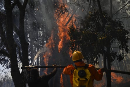 Um bombeiro molhando árvores com água para apagar um incêndio