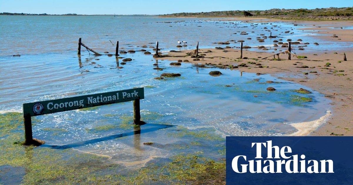 ‘Nothing off the table’ in bid to deliver 450GL of water for Murray-Darling, Labor says