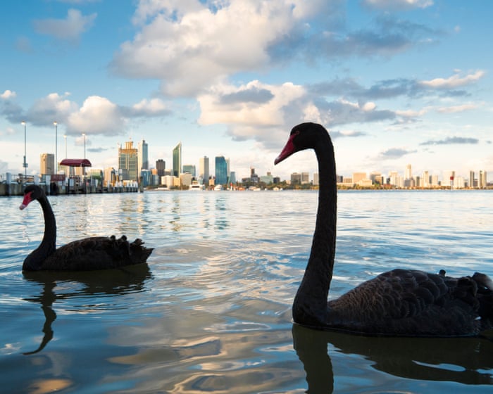 Morning Mail: bird flu risk to 150 native species, France roasts in heatwave, Ronaldo record