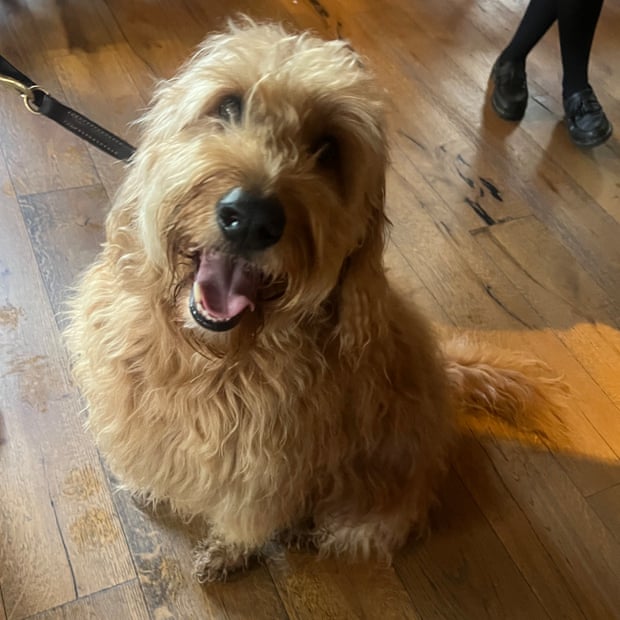 Ralph at The Boot in St Albans