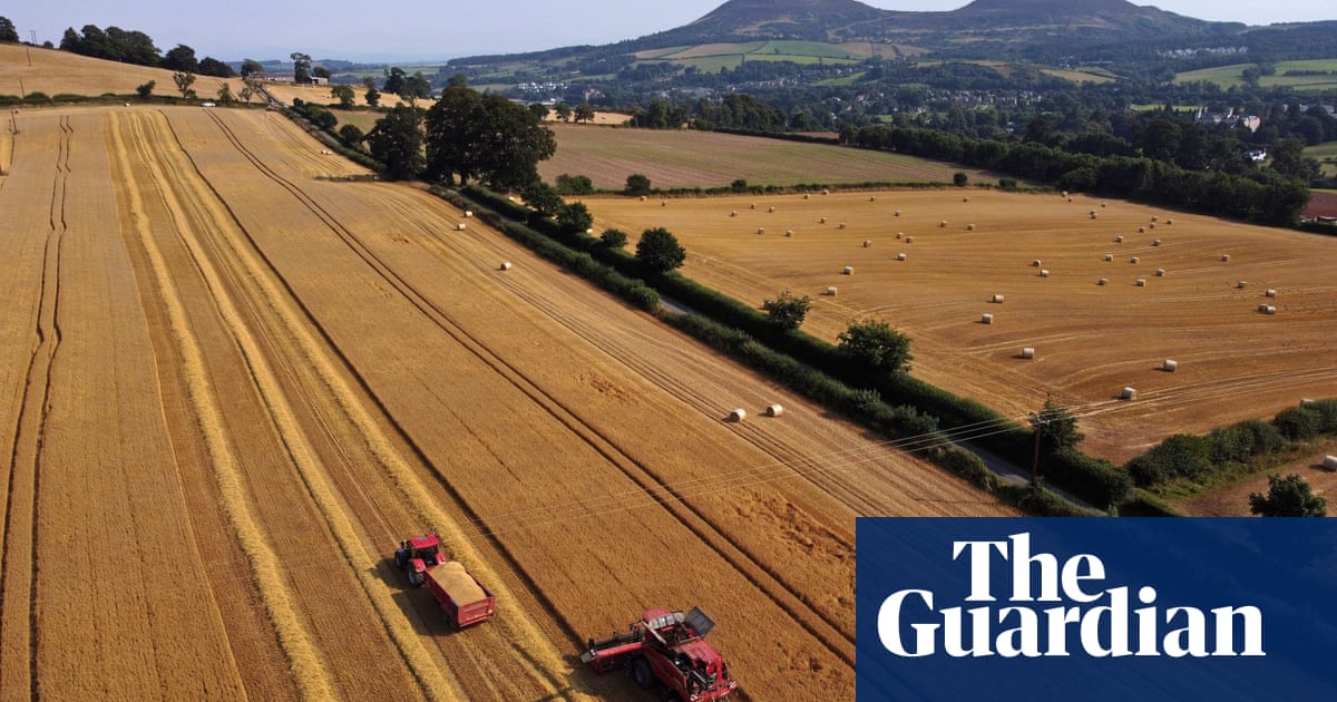 Urgent Action Needed to Address UK Food Security Crisis