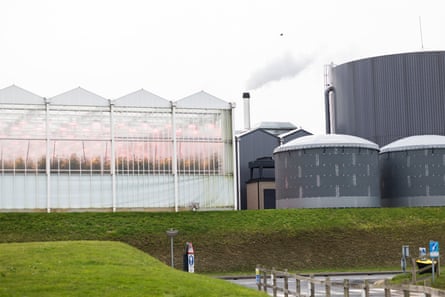 A row of glasshouses emitting a faint pink glow next to industrial buildings