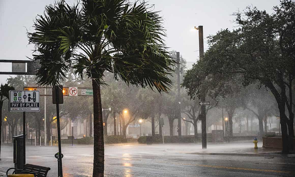 palm trees blow in the tropical storm force winds.