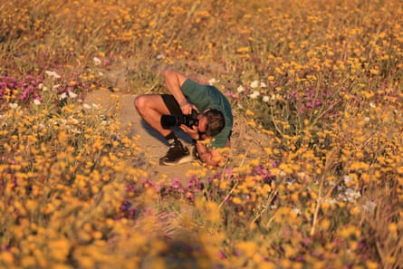 a man takes pictures of flowers