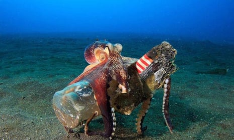 Octopus carrying bottle
