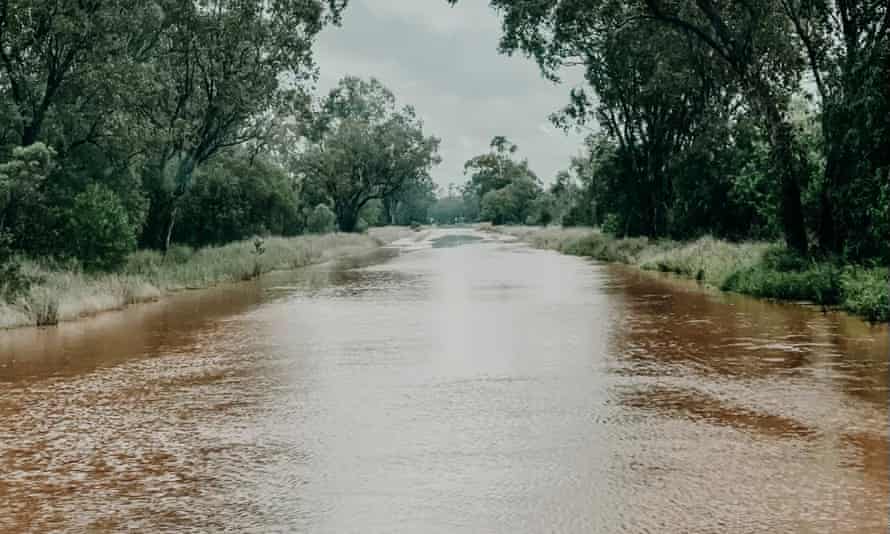 A flooded roadworthy  adjacent   the municipality  of North Star successful  bluish   NSW aft  dense  rain