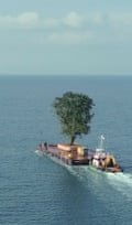 A tree being transported on a boat. ‘A folie de grandeur of staggering proportions’ … Taming the Garden.