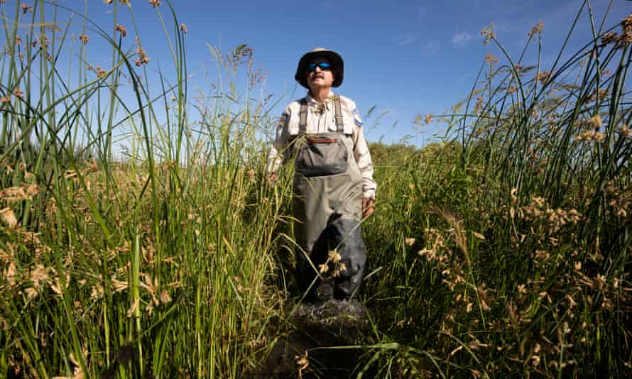 Jeff Cann, a wildlife biologist with the California department of fish and wildlife, in the Grassland ecological area.