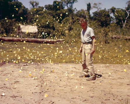 Attenborough amid a swarm of butterflies.