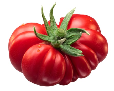 Costoluto Fiorentino heirloom tomato
