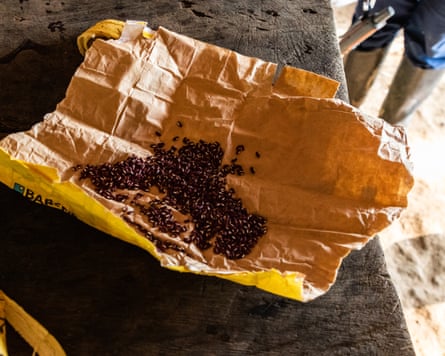Seeds from the Montes de María region of Colombia