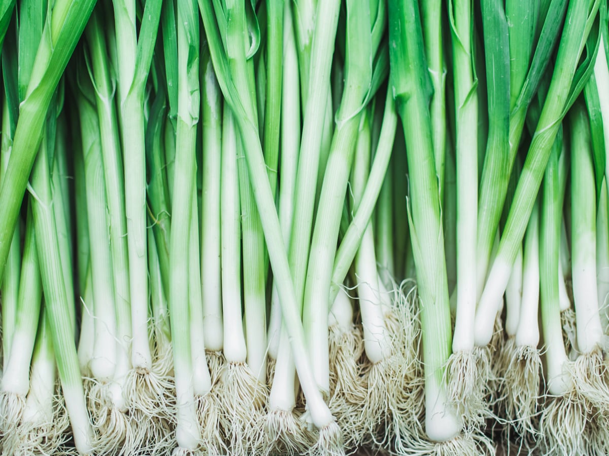 Onion young sex Lots of shallots: why do spring onions come in such big bunches – and how  can I use them all? | Australian food and drink | The Guardian