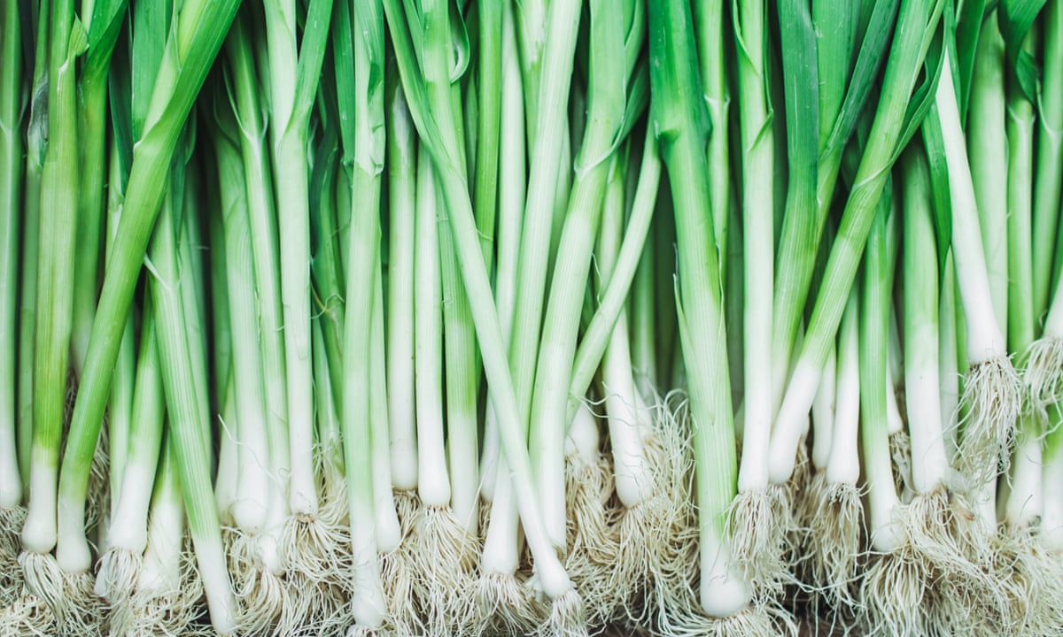 Onion young lesbian Lots of shallots: why do spring onions come in such big bunches – and how can I use them all? | Australian food and drink | The Guardian