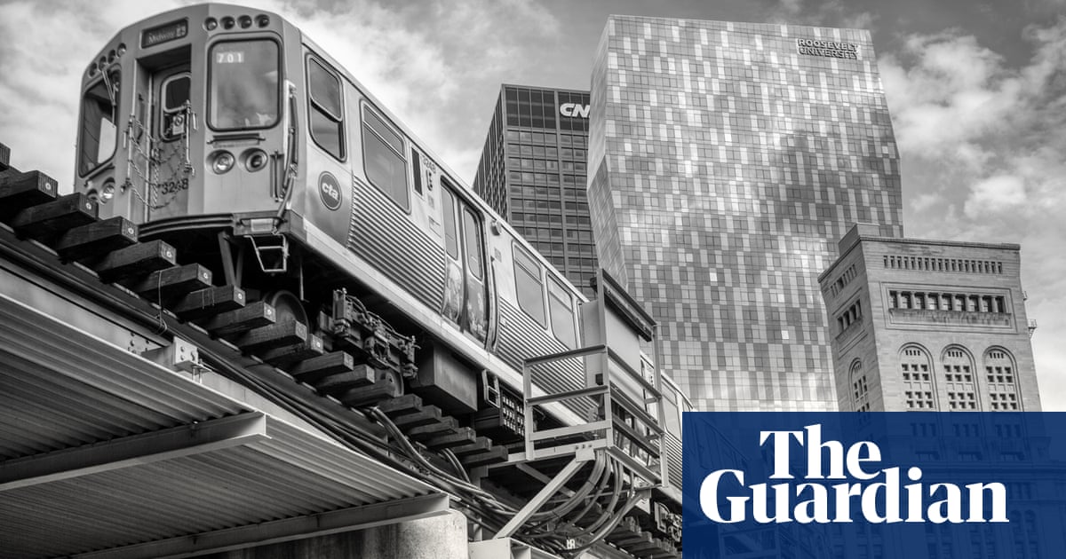 City life and a curious cat – readers’ best photographs
