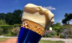 A vanilla and clotted cream cornet from the Homestead Cafe in Beckenham Place Park, Lewisham