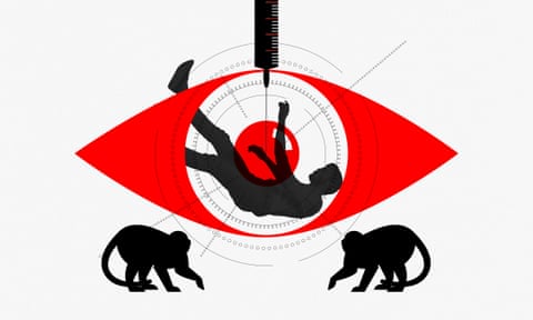 illustration montage: CIA mind control / animal experiments / a man falling 
