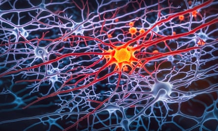 Genetic variants can affect neurons and how they communicate.