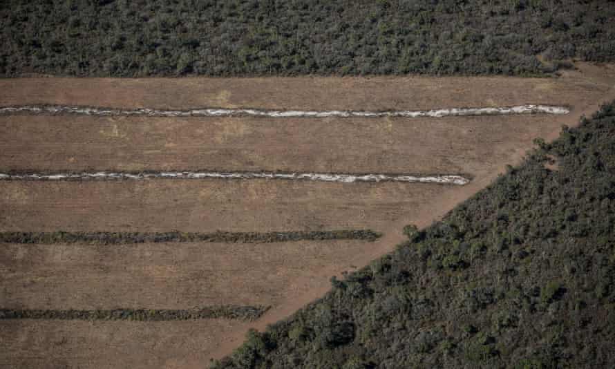 Deforestation and soya in the Chaco forest in Salta province, Argentina