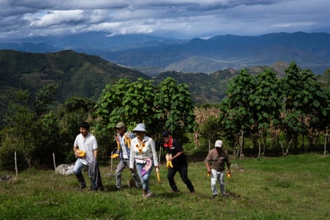 Um grupo de pessoas segurando espigas de milho caminha por um campo com montanhas ao longe.