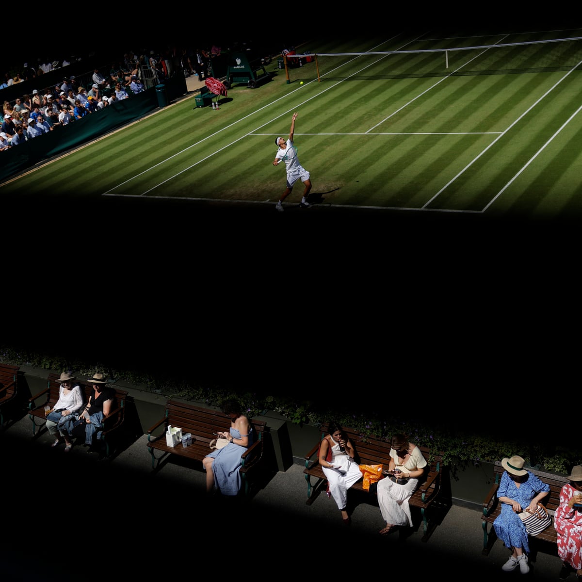 Wimbledon 2026: Memorable moments on and off the court Wimbledon 2026: Memorable moments on and off the court