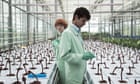 Little Joe review - The Day of the Triffids meets Little Shop of Horrors