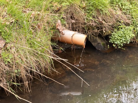 A pipe sticking from a bank into a lake, with water trickling from it