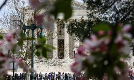 US Supreme Court seen through cherry blossom last month.