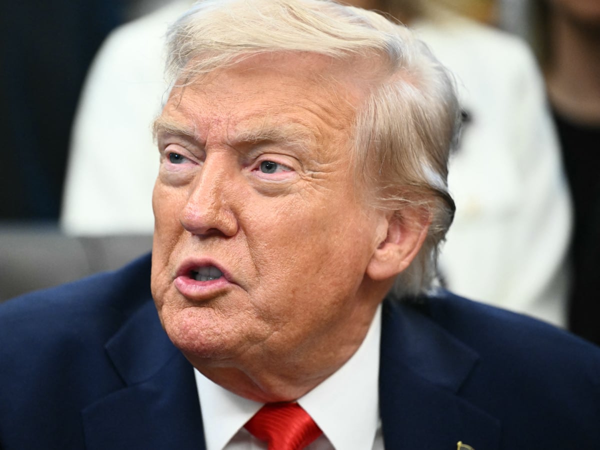 Trump threatens tariffs on countries that 'discriminate' against US tech | Trump tariffs | The Guardian