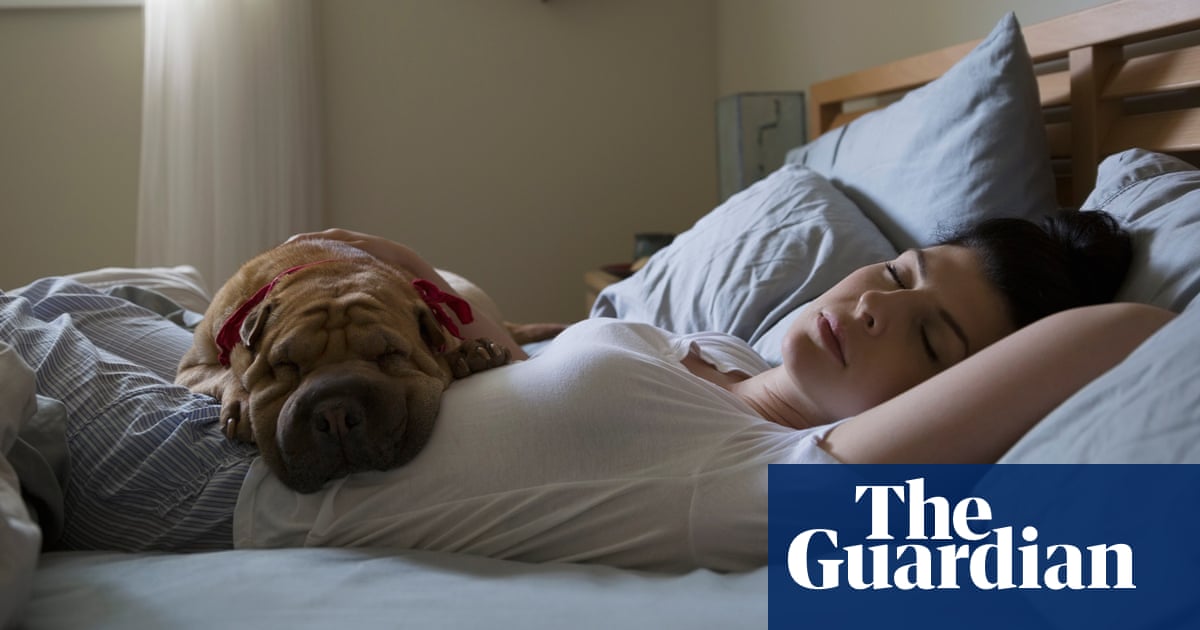 Let sleeping dogs lie (in the kitchen) | Brief letters