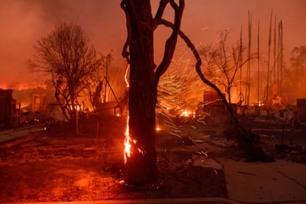 tree on fire against red landscape