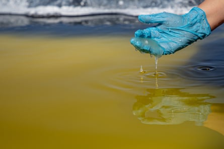 A hand in a plastic glove holding a gloopy liquid above a green pool