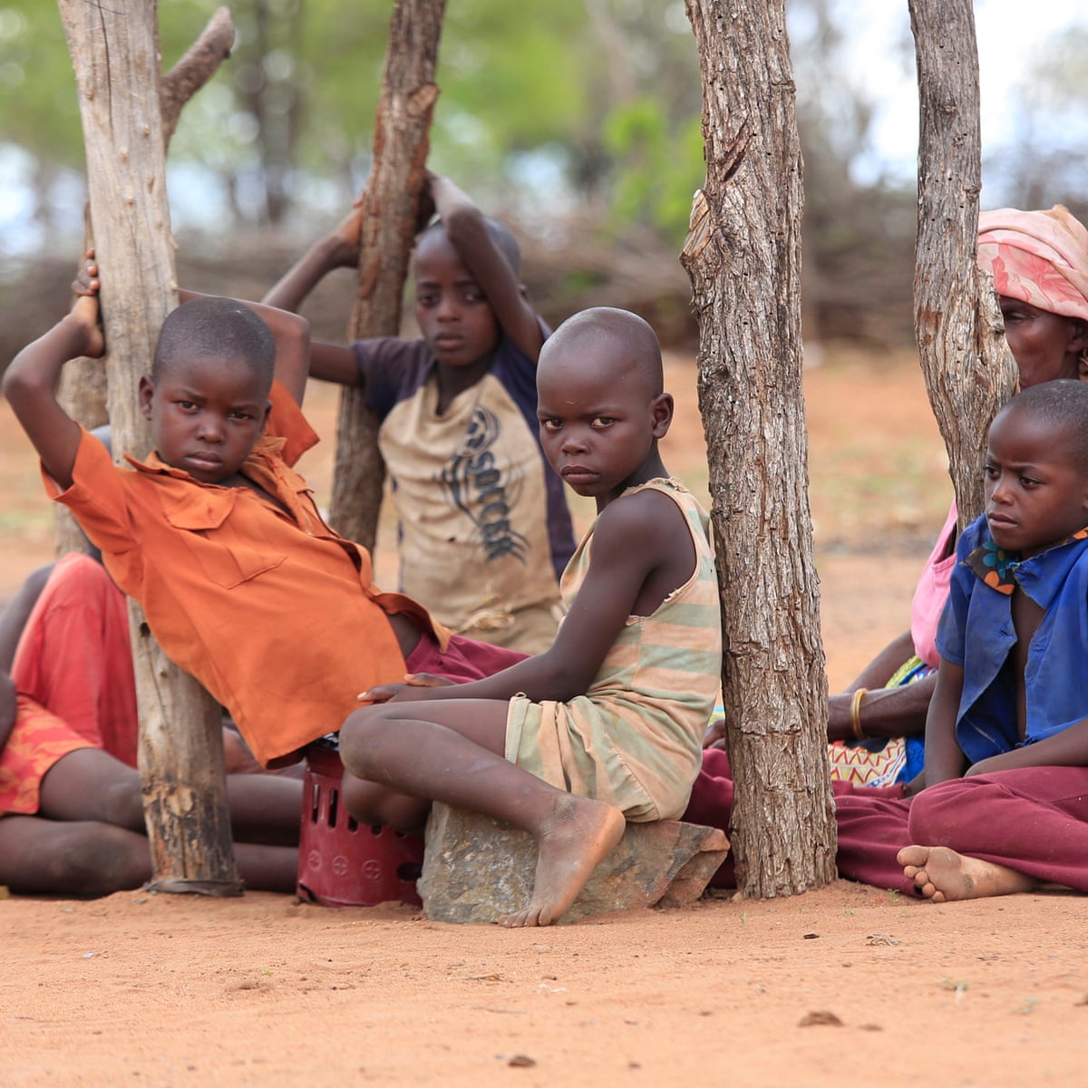 Download Zimbabwe Urged To Prioritise Children As Record Poverty Causes For Android Wallpaper Zimbabwe Urged To Prioritise Children As Record Poverty Causes For Free