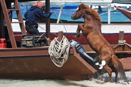 A man guides a horse onto a boat to transport it to the mainland from Gili Trawangan.
