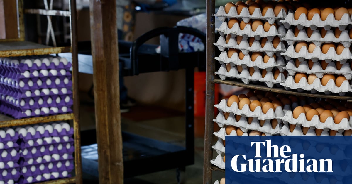 A carton of American eggs, now available in cage-free, brown, and "may cause serious adverse health consequences or death" varieties.