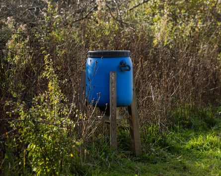 A blue winter bird feeding station on wooden posts stands amid wild grasses