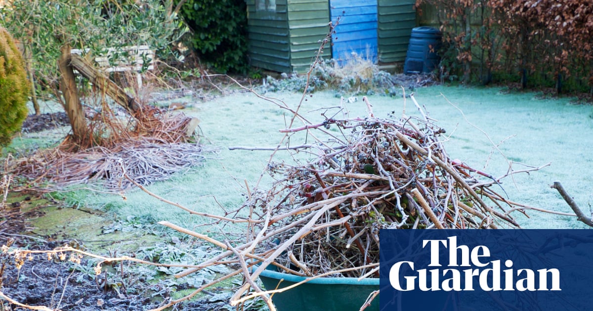 Festive stress getting to you? A potter in the garden is the ideal antidote | Gardening advice Festive stress getting to you? A potter in the garden is the ideal antidote | Gardening advice