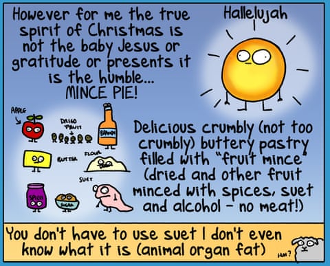 First Dog on the Moon cartoon called Mince Pies, panel 3