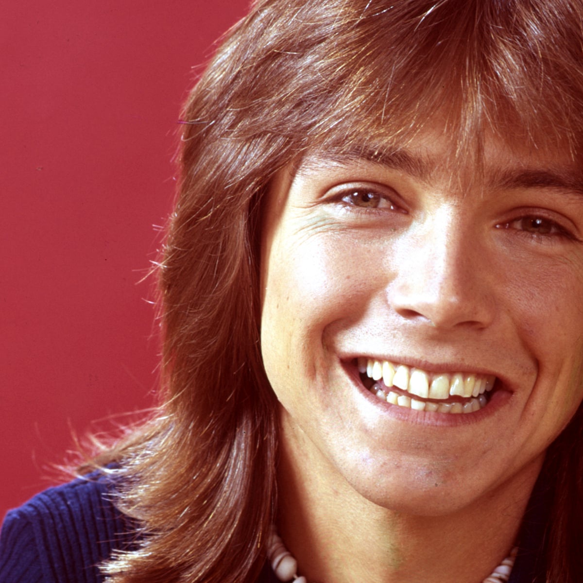 Patrick And David Cassidy patrick-and-david-cassidy
