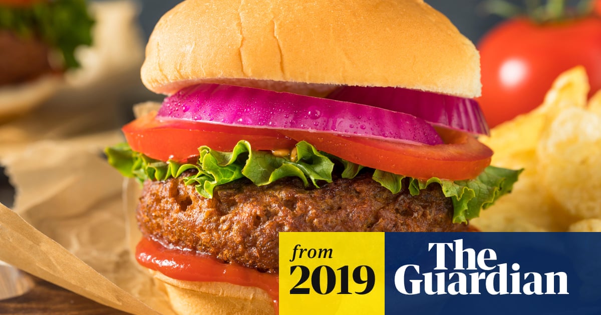 Veggie Discs To Replace Veggie Burgers In Eu Crackdown On Food